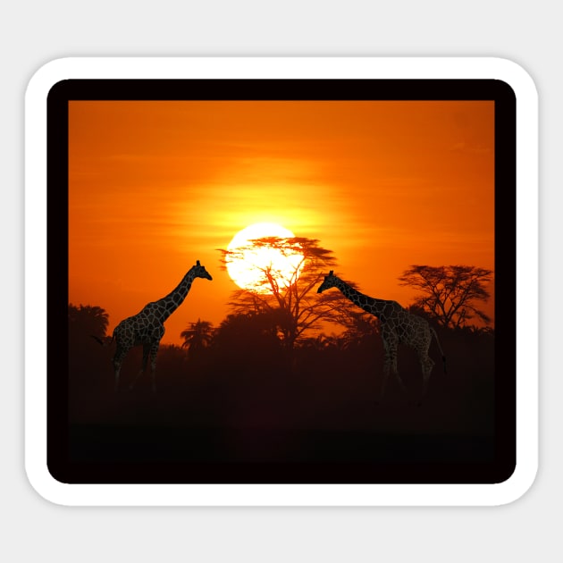 Sundown with Giraffes on Safari in Kenya / Africa Sticker by T-SHIRTS UND MEHR